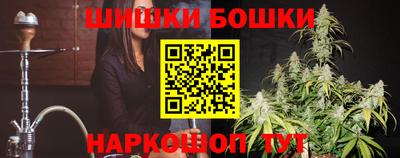 индика Можайск
