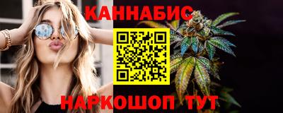 индика Можайск