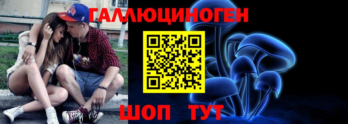 Галлюциногенные грибы Psilocybine cubensis  Псилоцибиновые грибы MAGIC MUSHROOMS  Юрга  Вход с VPN 
